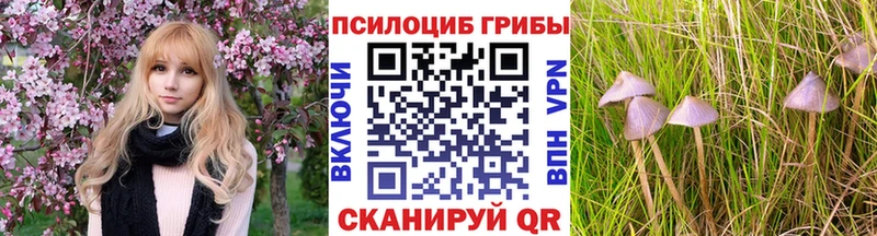 OMG ссылка  продажа наркотиков  Артём  Галлюциногенные грибы Psilocybe 